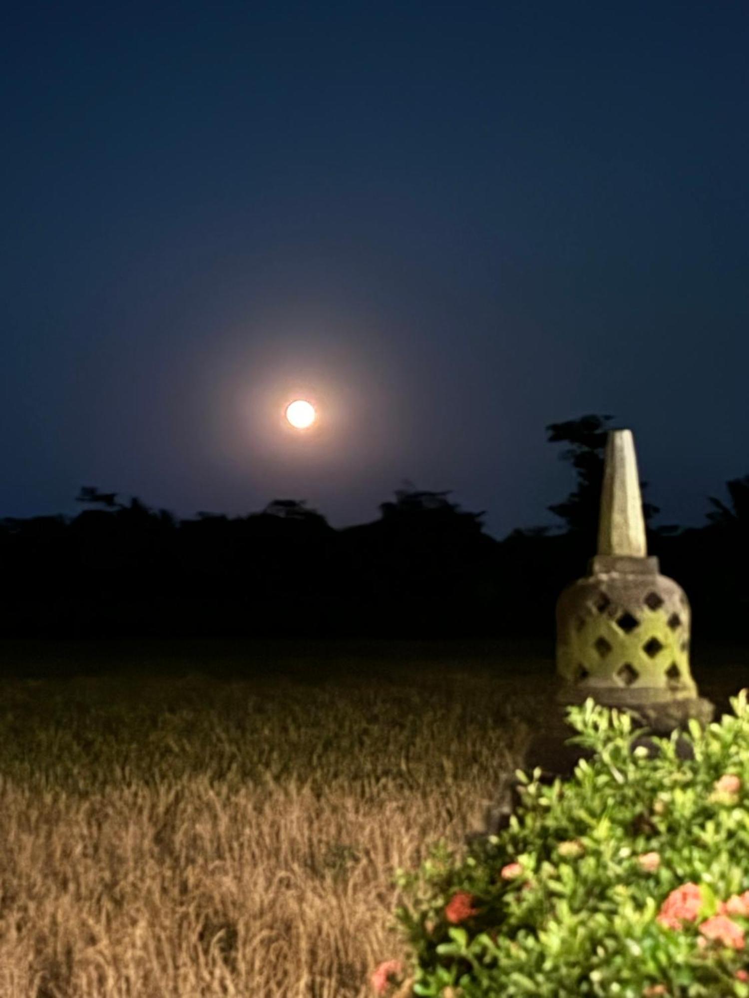 Rumah Dharma Magelang Kültér fotó